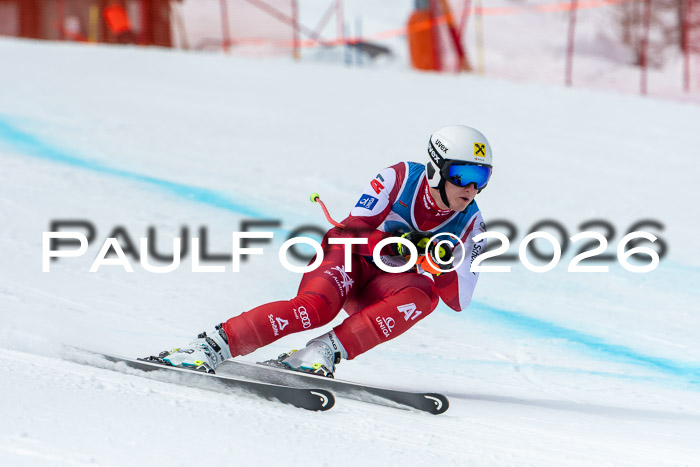 NC + NJC DH ,Frauen + Männer Axamer Lizum 25.03.2026