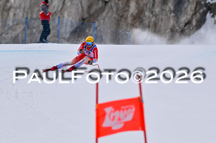 NC + NJC DH ,Frauen + Männer Axamer Lizum 25.03.2026