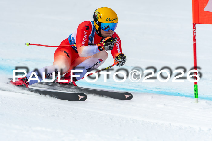 NC + NJC DH ,Frauen + Männer Axamer Lizum 25.03.2026