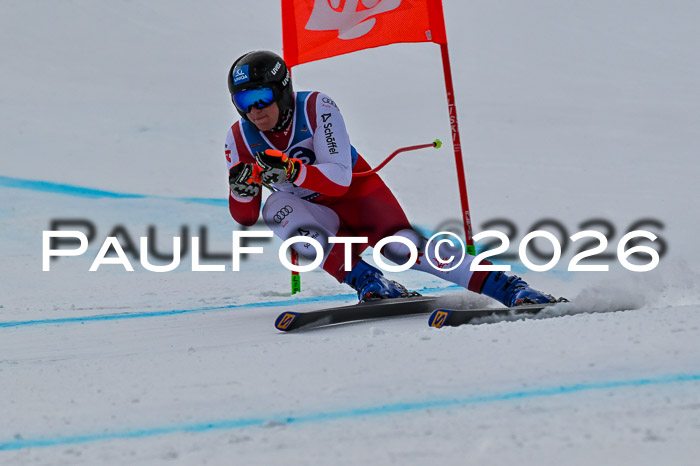 NC + NJC DH ,Frauen + Männer Axamer Lizum 25.03.2026