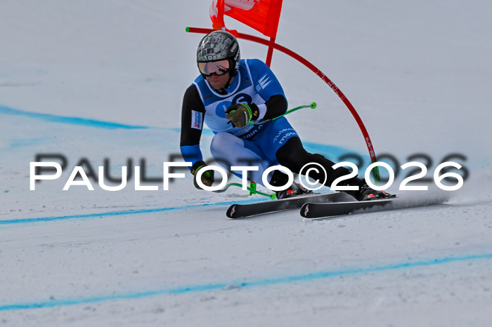 NC + NJC DH ,Frauen + Männer Axamer Lizum 25.03.2026