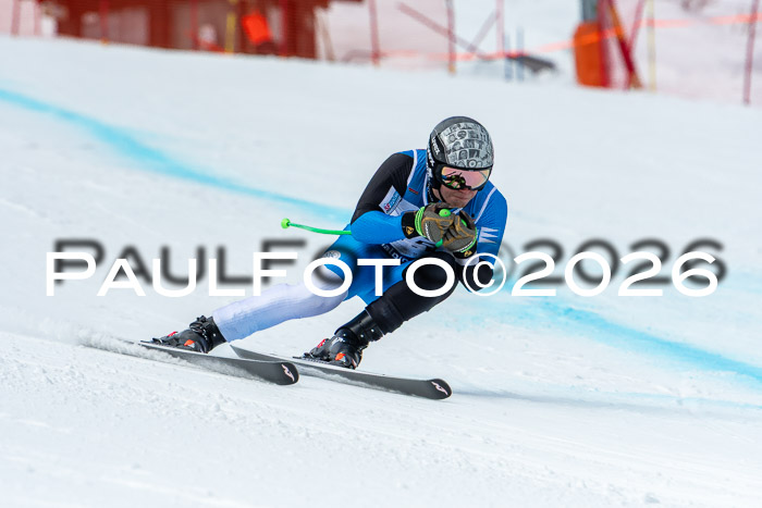 NC + NJC DH ,Frauen + Männer Axamer Lizum 25.03.2026