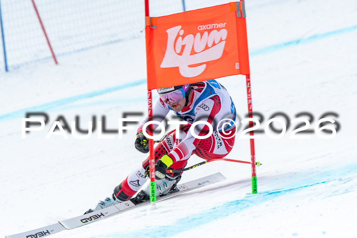 NC + NJC DH ,Frauen + Männer Axamer Lizum 25.03.2026