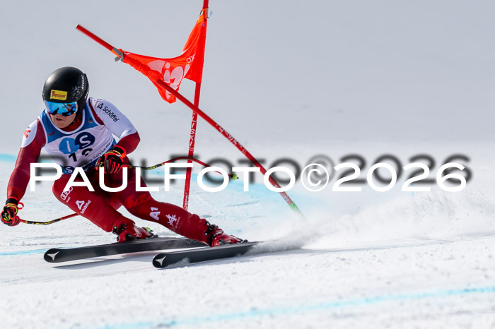 NC + NJC DH ,Frauen + Männer Axamer Lizum 25.03.2026