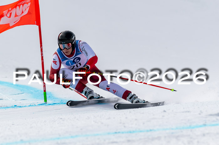 NC + NJC DH ,Frauen + Männer Axamer Lizum 25.03.2026