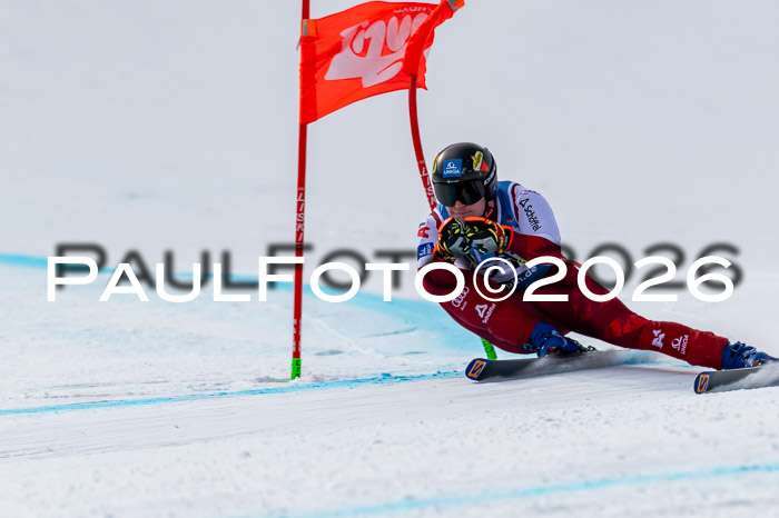 NC + NJC DH ,Frauen + Männer Axamer Lizum 25.03.2026