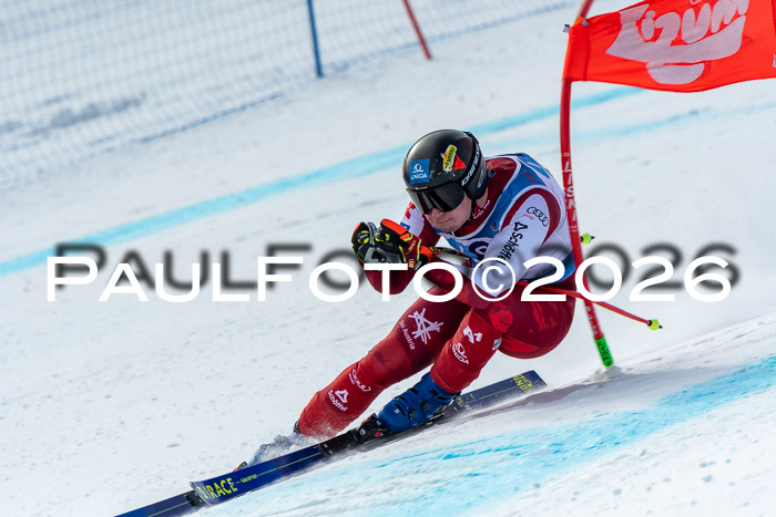 NC + NJC DH ,Frauen + Männer Axamer Lizum 25.03.2026