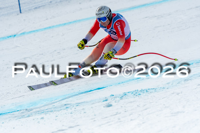 NC + NJC DH ,Frauen + Männer Axamer Lizum 25.03.2026