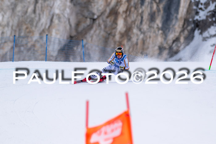 NC + NJC DH ,Frauen + Männer Axamer Lizum 25.03.2026