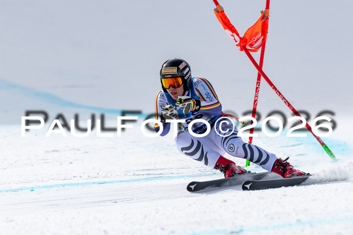 NC + NJC DH ,Frauen + Männer Axamer Lizum 25.03.2026