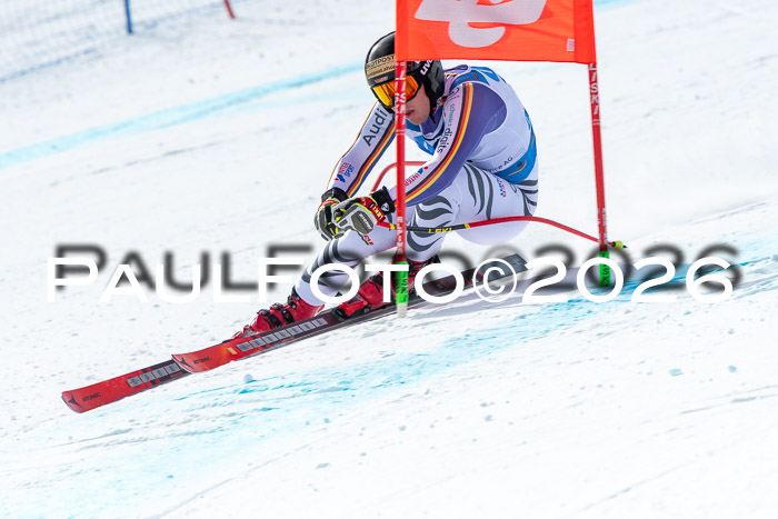 NC + NJC DH ,Frauen + Männer Axamer Lizum 25.03.2026