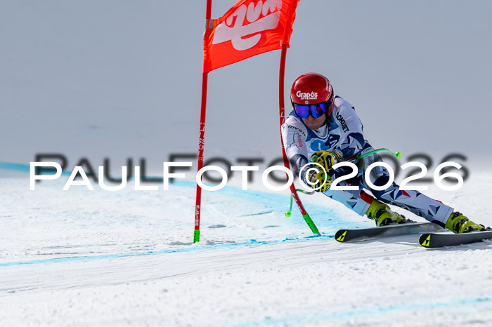 NC + NJC DH ,Frauen + Männer Axamer Lizum 25.03.2026