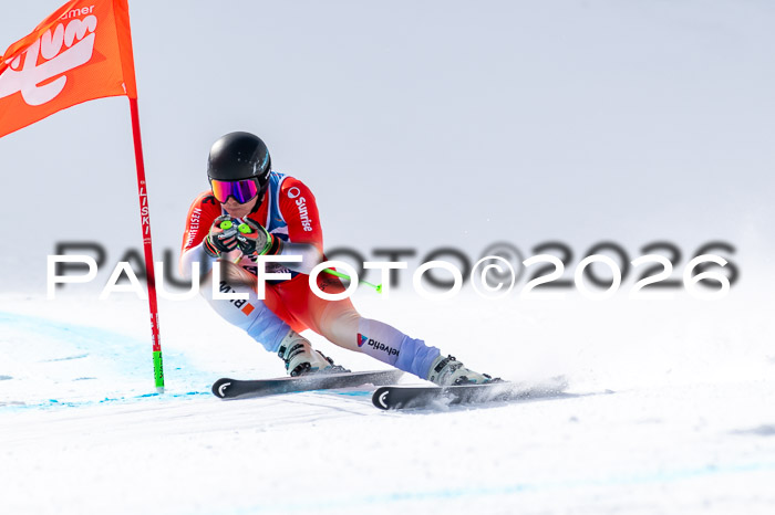 NC + NJC DH ,Frauen + Männer Axamer Lizum 25.03.2026