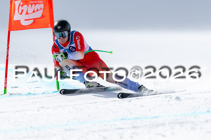 NC + NJC DH ,Frauen + Männer Axamer Lizum 25.03.2026