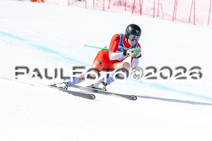 NC + NJC DH ,Frauen + Männer Axamer Lizum 25.03.2026