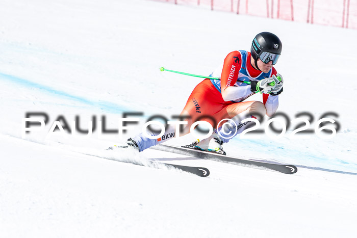 NC + NJC DH ,Frauen + Männer Axamer Lizum 25.03.2026