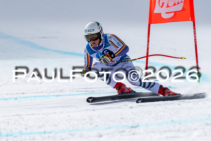 NC + NJC DH ,Frauen + Männer Axamer Lizum 25.03.2026