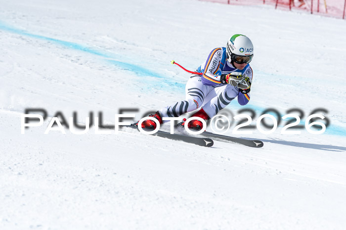 NC + NJC DH ,Frauen + Männer Axamer Lizum 25.03.2026