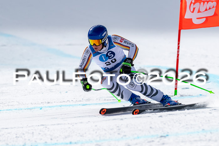 NC + NJC DH ,Frauen + Männer Axamer Lizum 25.03.2026