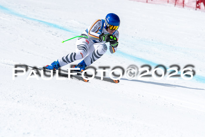 NC + NJC DH ,Frauen + Männer Axamer Lizum 25.03.2026