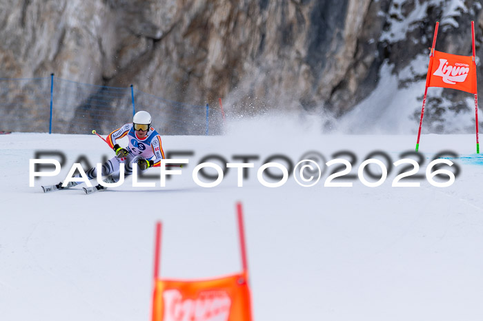 NC + NJC DH ,Frauen + Männer Axamer Lizum 25.03.2026