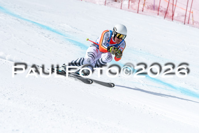 NC + NJC DH ,Frauen + Männer Axamer Lizum 25.03.2026