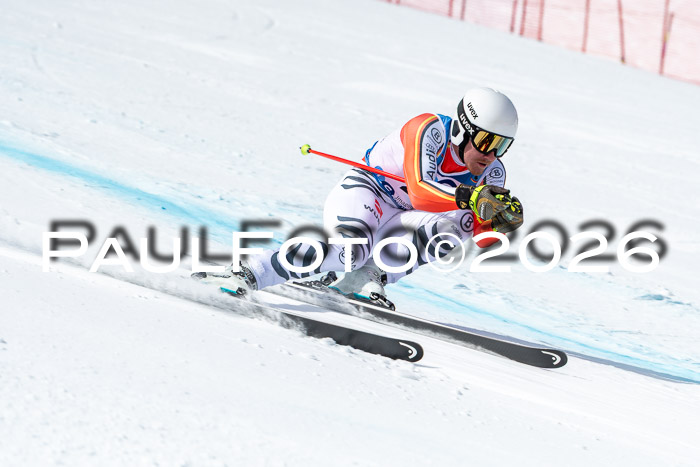 NC + NJC DH ,Frauen + Männer Axamer Lizum 25.03.2026