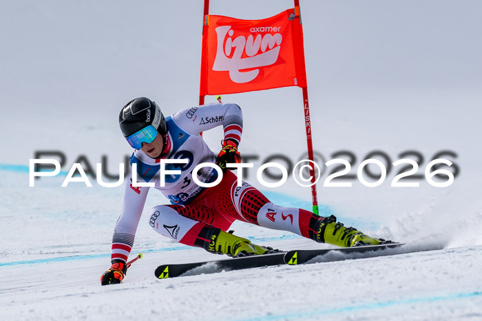 NC + NJC DH ,Frauen + Männer Axamer Lizum 25.03.2026