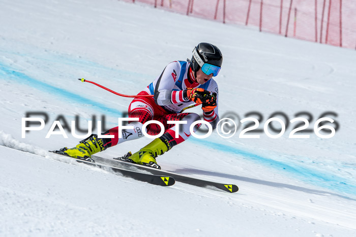 NC + NJC DH ,Frauen + Männer Axamer Lizum 25.03.2026