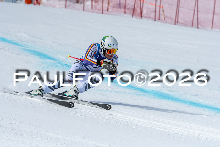 NC + NJC DH ,Frauen + Männer Axamer Lizum 25.03.2026