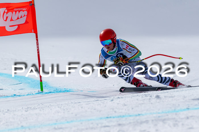 NC + NJC DH ,Frauen + Männer Axamer Lizum 25.03.2026