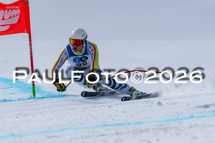 NC + NJC DH ,Frauen + Männer Axamer Lizum 25.03.2026