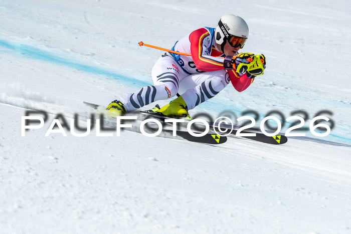 NC + NJC DH ,Frauen + Männer Axamer Lizum 25.03.2026