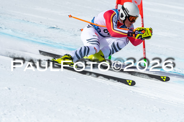 NC + NJC DH ,Frauen + Männer Axamer Lizum 25.03.2026