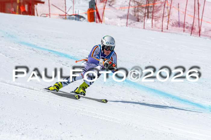 NC + NJC DH ,Frauen + Männer Axamer Lizum 25.03.2026
