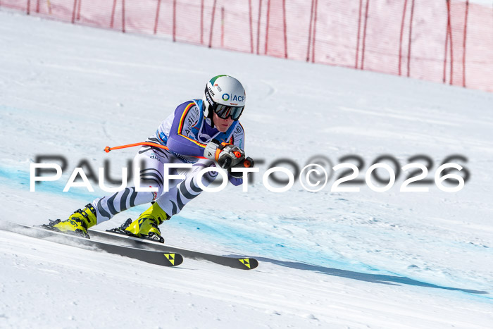 NC + NJC DH ,Frauen + Männer Axamer Lizum 25.03.2026