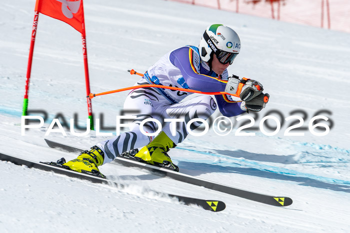 NC + NJC DH ,Frauen + Männer Axamer Lizum 25.03.2026