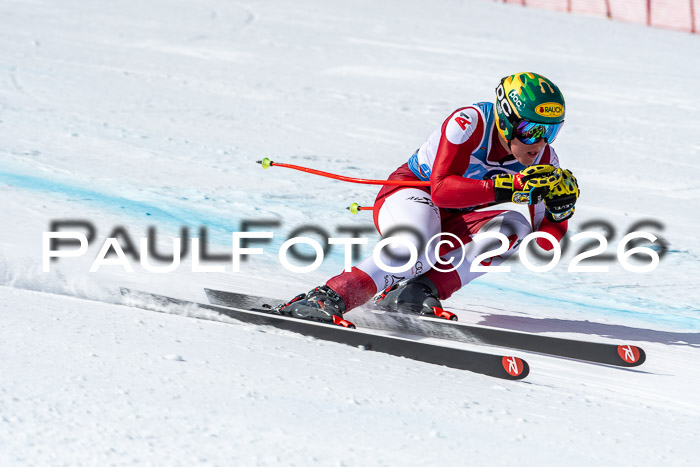 NC + NJC DH ,Frauen + Männer Axamer Lizum 25.03.2026