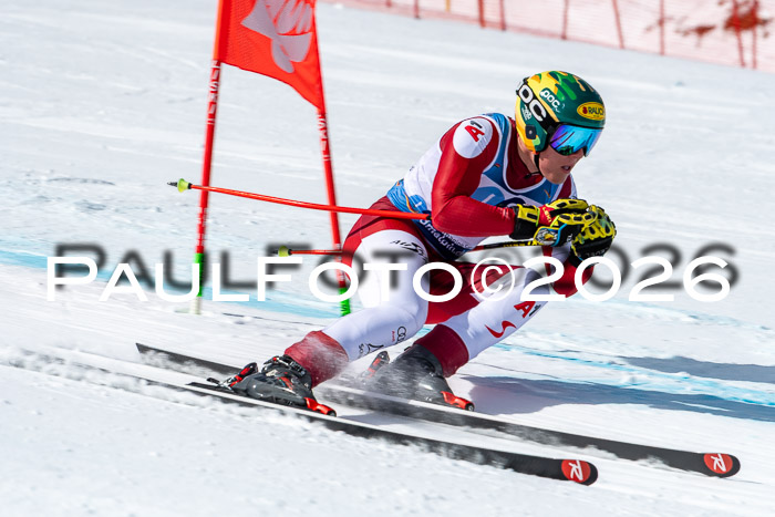 NC + NJC DH ,Frauen + Männer Axamer Lizum 25.03.2026