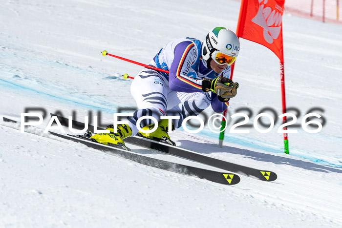 NC + NJC DH ,Frauen + Männer Axamer Lizum 25.03.2026