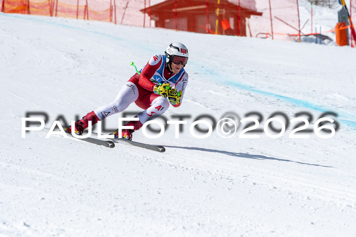 NC + NJC DH ,Frauen + Männer Axamer Lizum 25.03.2026