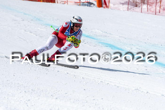 NC + NJC DH ,Frauen + Männer Axamer Lizum 25.03.2026