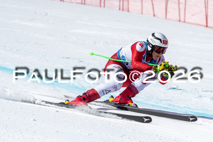 NC + NJC DH ,Frauen + Männer Axamer Lizum 25.03.2026