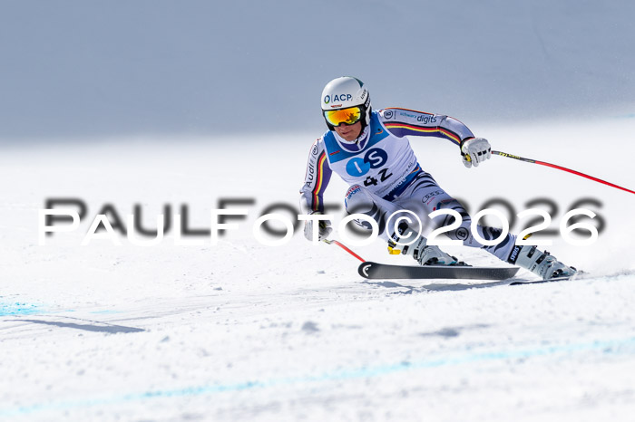 NC + NJC DH ,Frauen + Männer Axamer Lizum 25.03.2026