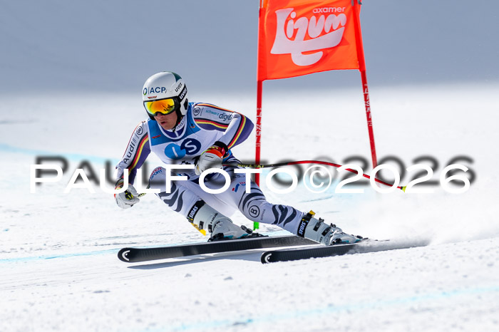 NC + NJC DH ,Frauen + Männer Axamer Lizum 25.03.2026