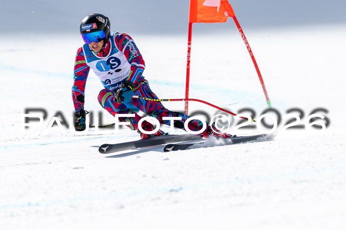 NC + NJC DH ,Frauen + Männer Axamer Lizum 25.03.2026