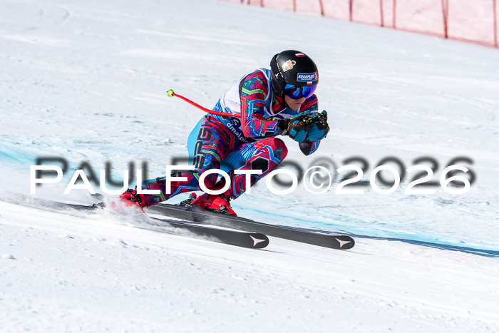 NC + NJC DH ,Frauen + Männer Axamer Lizum 25.03.2026