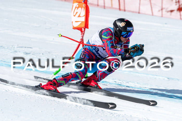 NC + NJC DH ,Frauen + Männer Axamer Lizum 25.03.2026