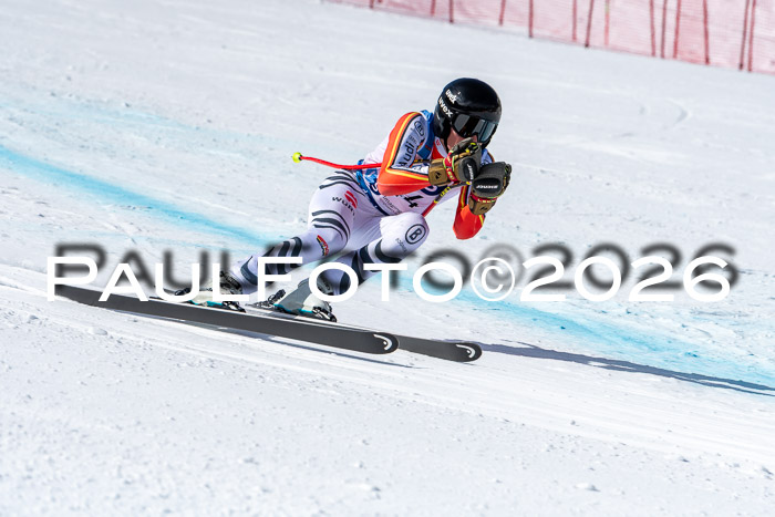 NC + NJC DH ,Frauen + Männer Axamer Lizum 25.03.2026