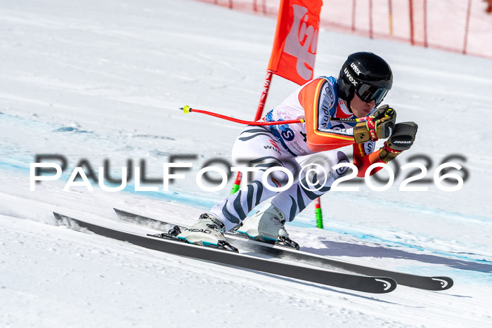 NC + NJC DH ,Frauen + Männer Axamer Lizum 25.03.2026